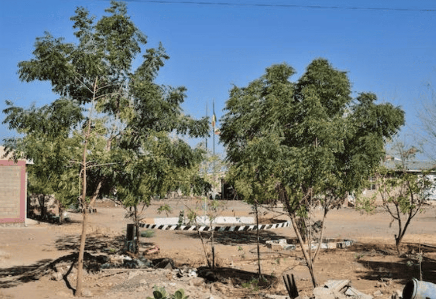 Semera Girls’ Boarding School, Afar